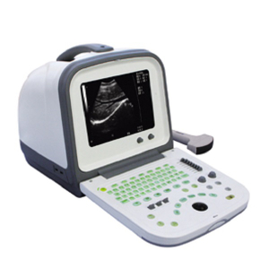 Scanner a ultrasuoni portatile approvato CE/ISO per veterinario (MT01006122)