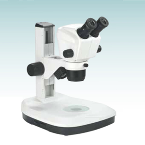 Stereomicroscopio di vendita calda (MT28108031)